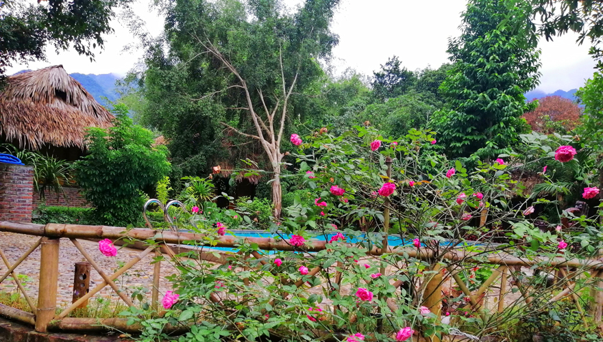du lịch mai châu trong năm