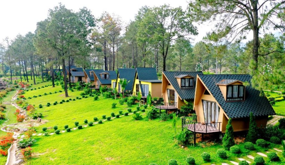 homestay mộc châu view đẹp