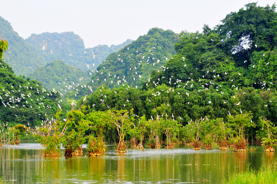 Thung Nham Ninh Bình